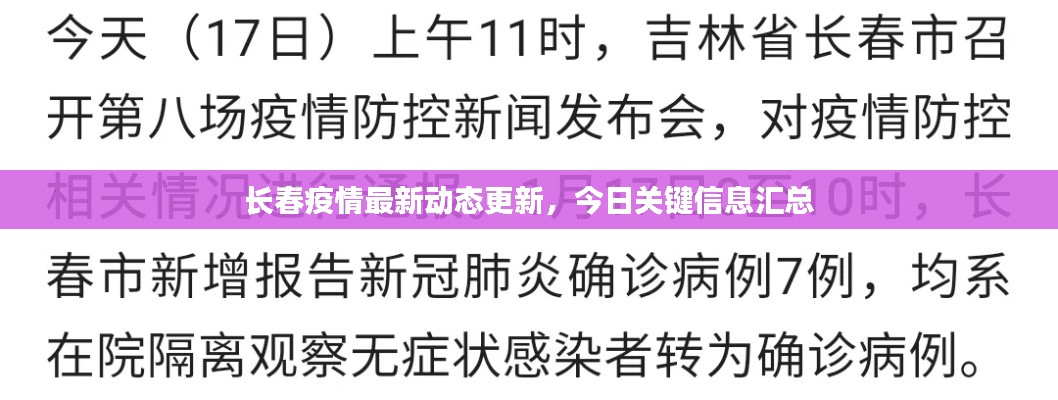 长春疫情最新动态，今日热点解析与防控措施更新