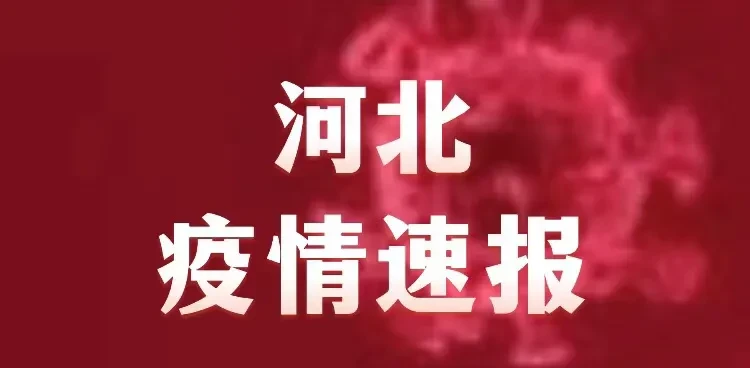 河北今日疫情最新动态，防控不松懈，共筑健康防线